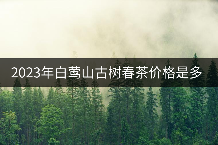 2023年白鶯山古樹(shù)春茶價(jià)格是多少？