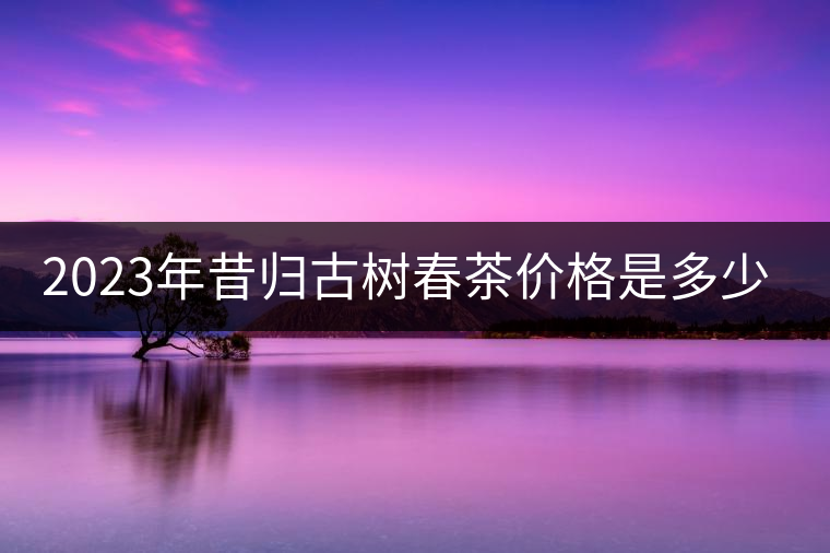 2023年昔歸古樹春茶價(jià)格是多少？