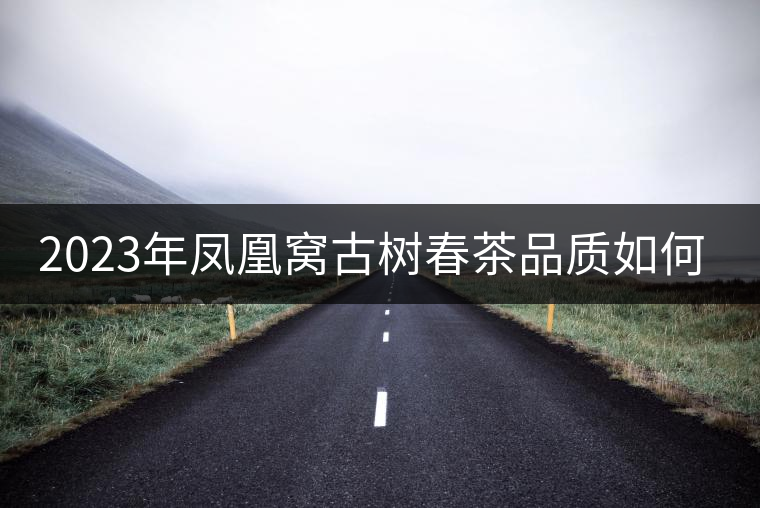 2023年鳳凰窩古樹春茶品質(zhì)如何？