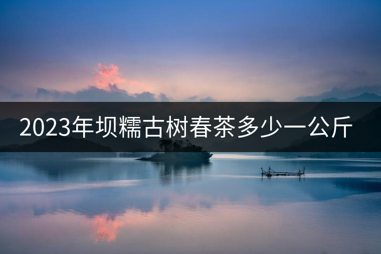 2023年壩糯古樹春茶多少一公斤？