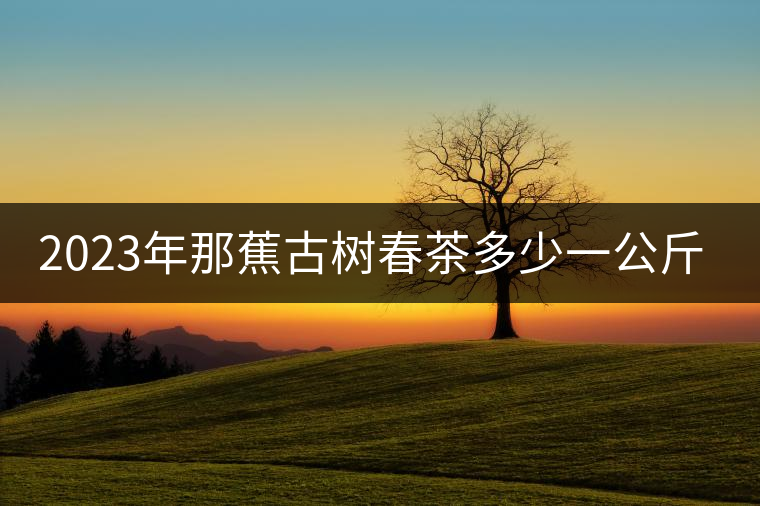 2023年那蕉古樹春茶多少一公斤？