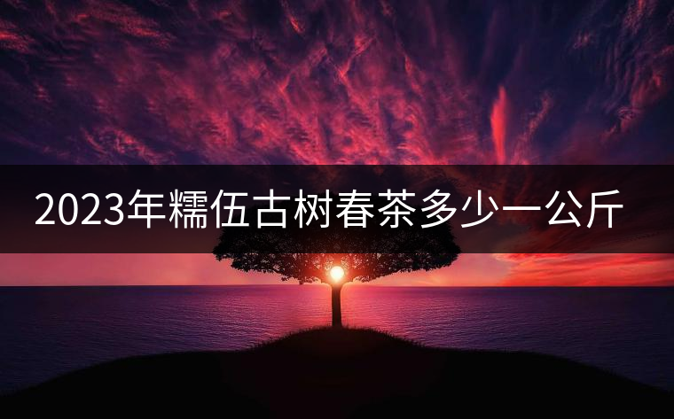 2023年糯伍古樹春茶多少一公斤？