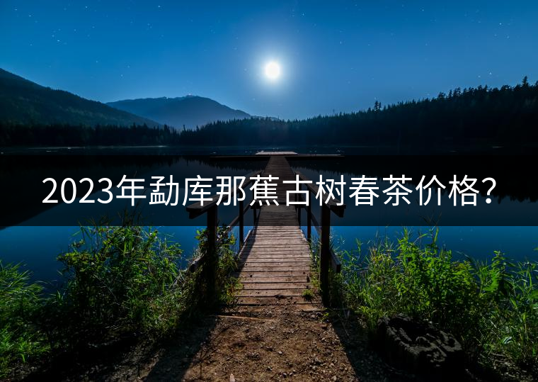 2023年勐庫那蕉古樹春茶價格？