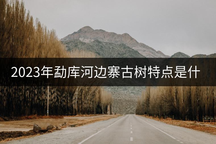 2023年勐庫河邊寨古樹特點是什么？