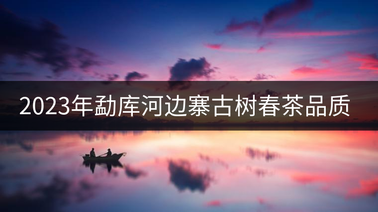 2023年勐庫(kù)河邊寨古樹春茶品質(zhì)如何? 2023年勐庫(kù)河邊寨古樹春茶品質(zhì)如何?