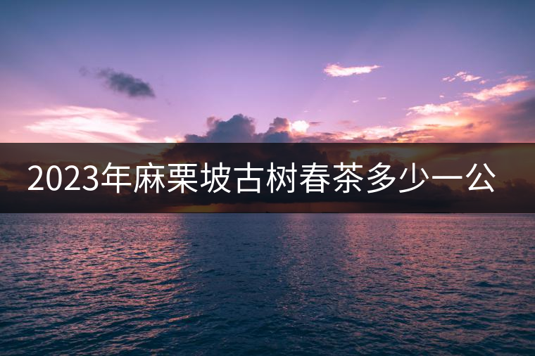 2023年麻栗坡古樹春茶多少一公斤？