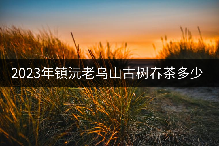 2023年鎮(zhèn)沅老烏山古樹(shù)春茶多少一公斤? 2023年鎮(zhèn)沅老烏山古樹(shù)春茶多少一公斤?
