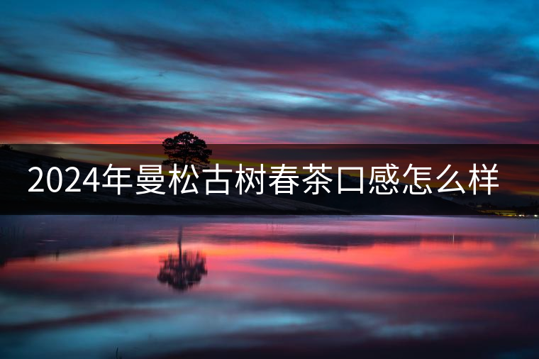 2024年曼松古樹(shù)春茶口感怎么樣？