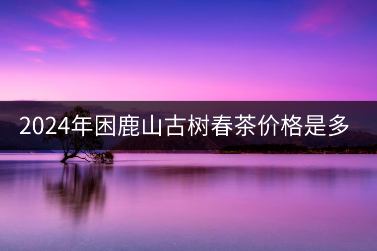 2024年困鹿山古樹春茶價格是多少？