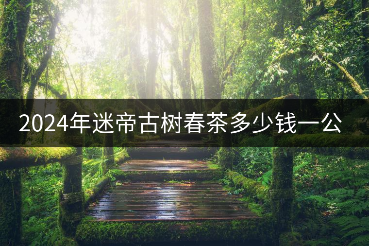 2024年迷帝古樹春茶多少錢一公斤？