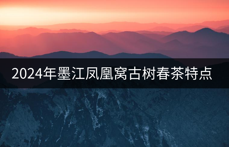 2024年墨江鳳凰窩古樹春茶特點(diǎn)是什么？