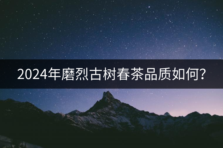 2024年磨烈古樹(shù)春茶品質(zhì)如何？