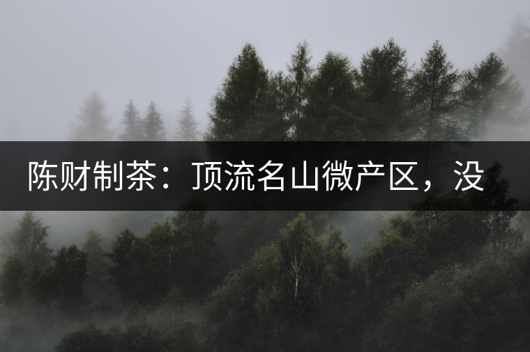 陳財制茶：頂流名山微產(chǎn)區(qū)，沒有意義的意義