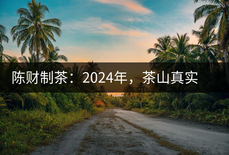 陳財制茶：2024年，茶山真實寫照，最慘的那波人