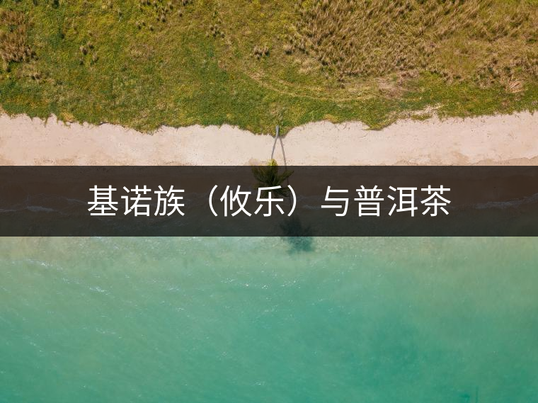 基諾族(攸樂)與普洱茶 基諾族(攸樂)與普洱茶