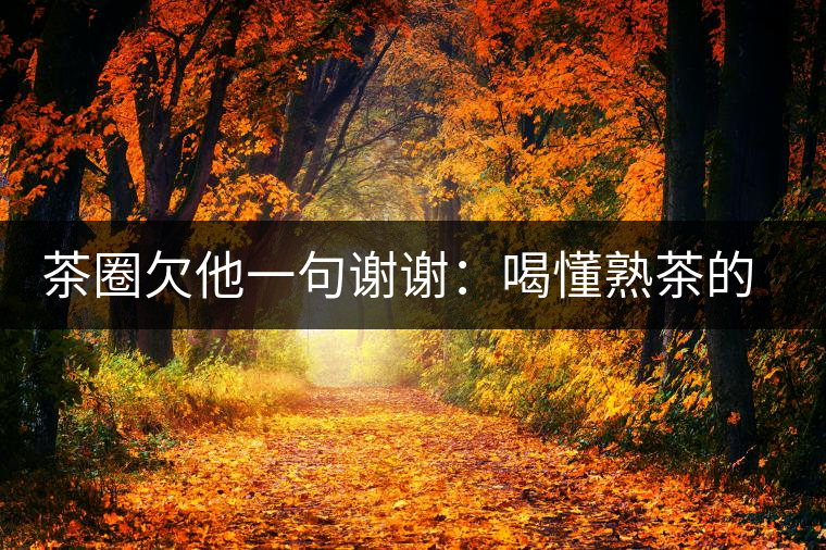 茶圈欠他一句謝謝：喝懂熟茶的人，都該記住陳佩仁這個(gè)名字