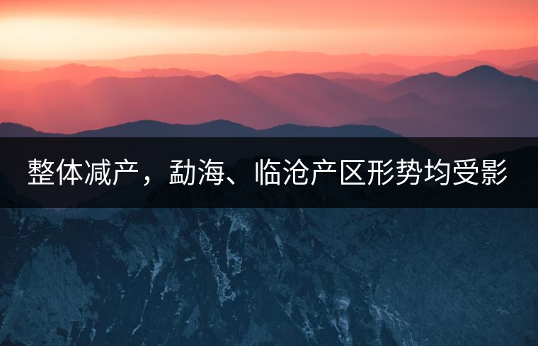 整體減產(chǎn)，勐海、臨滄產(chǎn)區(qū)形勢均受影響