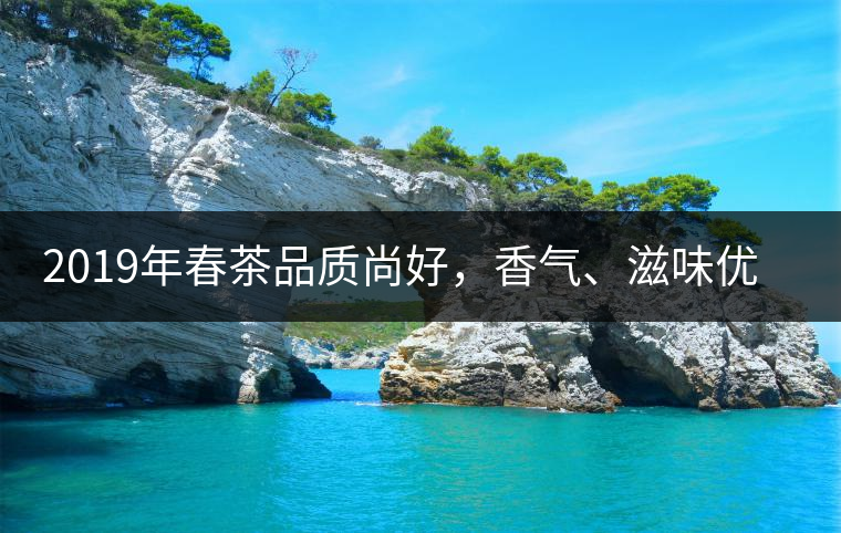 2019年春茶品質(zhì)尚好，香氣、滋味優(yōu)于去年