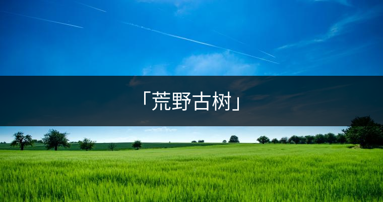 「荒野古樹(shù)」