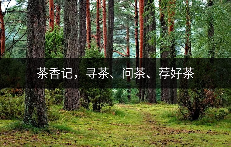 茶香記，尋茶、問(wèn)茶、薦好茶