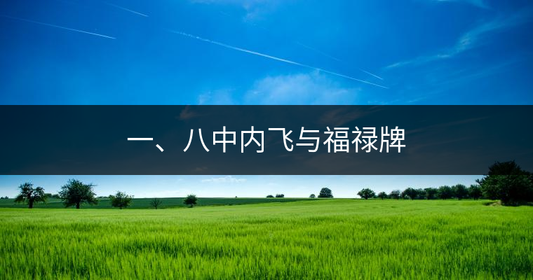 一、八中內(nèi)飛與福祿牌