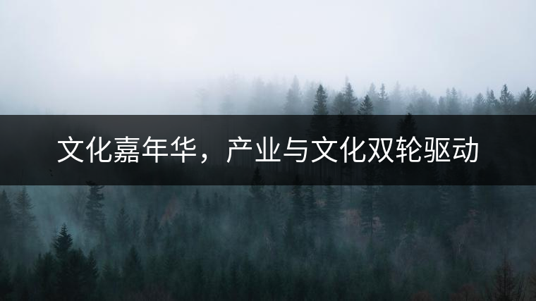 文化嘉年華，產業(yè)與文化雙輪驅動