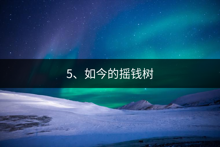 5、如今的搖錢樹