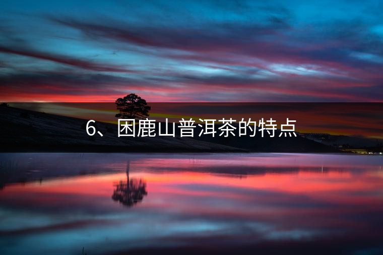 6、困鹿山普洱茶的特點