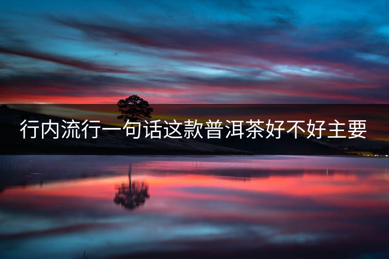 行內流行一句話這款普洱茶好不好主要還看尾水，雖然比較片面但是也有一定道理。