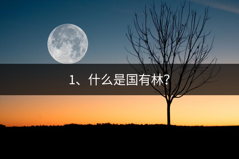 1、什么是國(guó)有林？