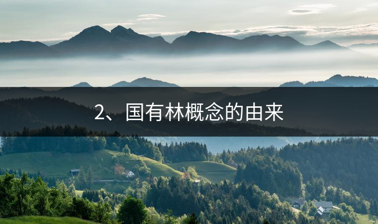 2、國(guó)有林概念的由來(lái)