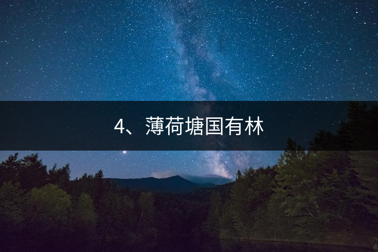 4、薄荷塘國(guó)有林