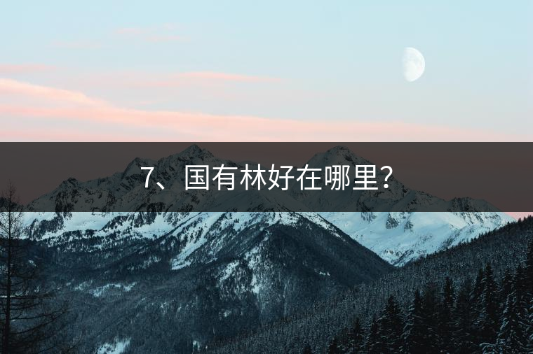 7、國(guó)有林好在哪里？