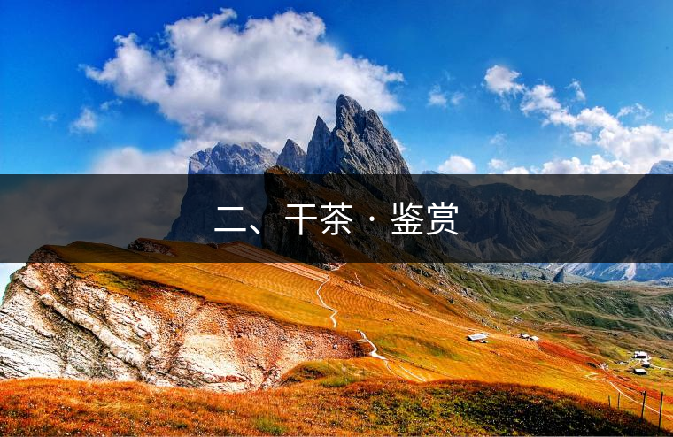 二、干茶 · 鑒賞