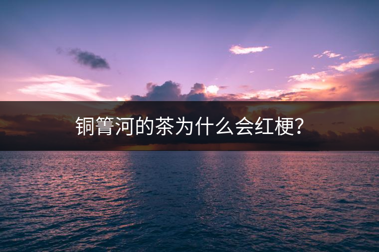 銅箐河的茶為什么會(huì)紅梗？