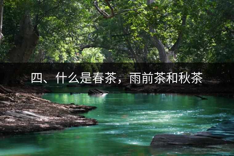 四、什么是春茶，雨前茶和秋茶