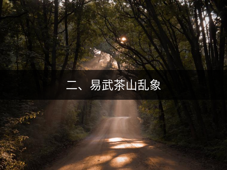 二、易武茶山亂象