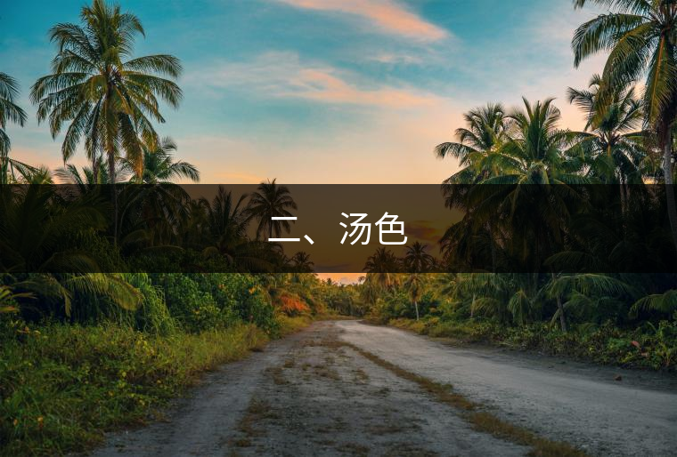 二、湯色