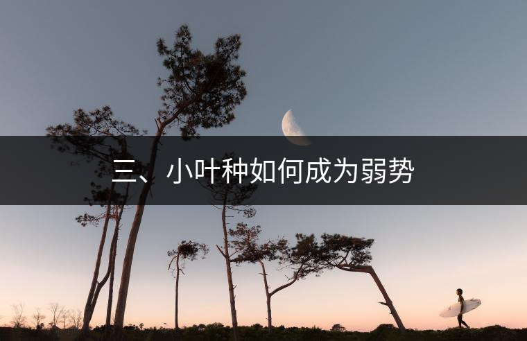 三、小葉種如何成為弱勢