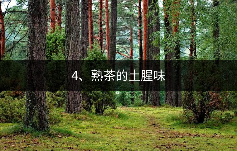 4、熟茶的土腥味