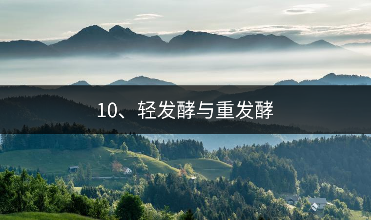 10、輕發(fā)酵與重發(fā)酵
