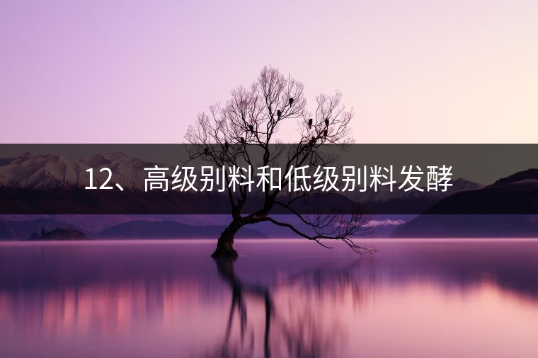 12、高級別料和低級別料發(fā)酵