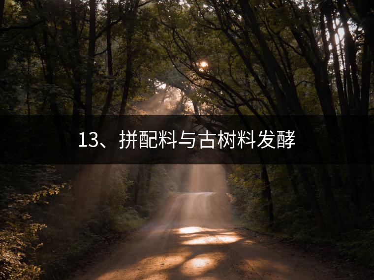 13、拼配料與古樹料發(fā)酵