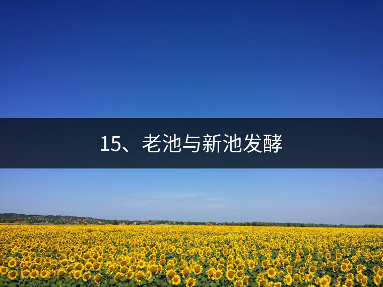 15、老池與新池發(fā)酵