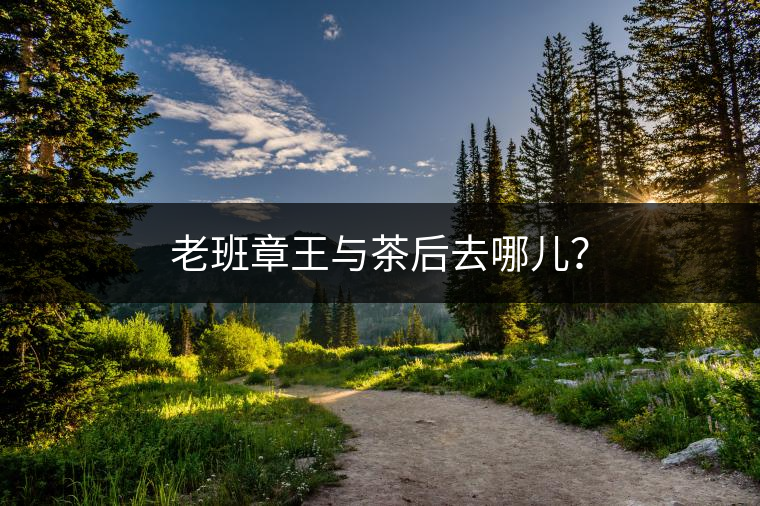 老班章王與茶后去哪兒？