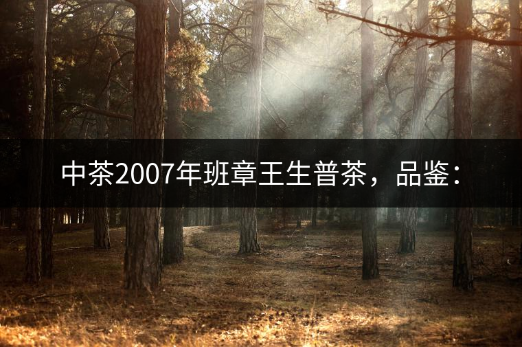 中茶2007年班章王生普茶，品鑒：