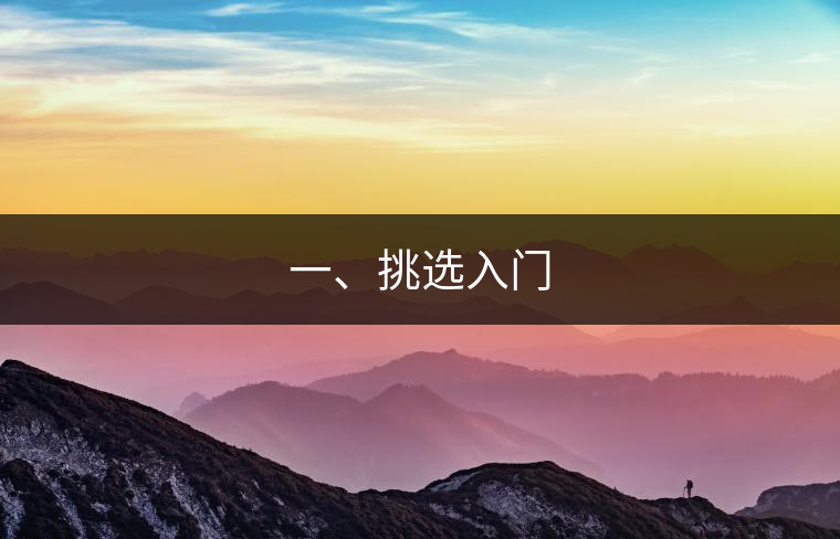 一、挑選入門