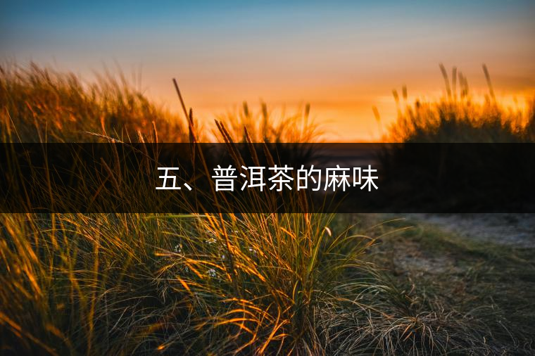五、普洱茶的麻味