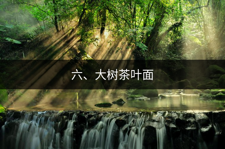 六、大樹(shù)茶葉面