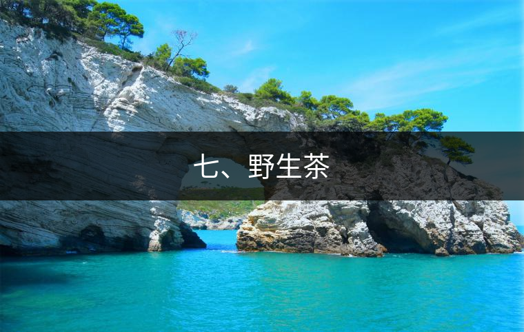 七、野生茶